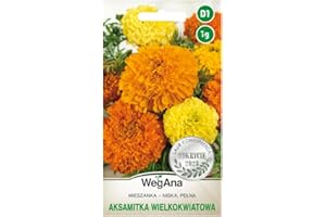 WegAna Mezcla de caléndula de flores grandes semillas 1g - Anual 35 cm Poco exigente Plantas bajas - plantas de jardín plantas de balcón flores de pasto para abejas semillas