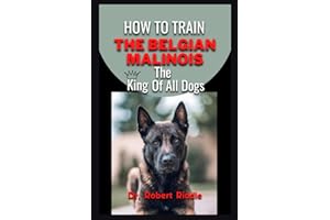 HOW TO TRAIN BELGIAN MALINOIS: The King Of All Dogs