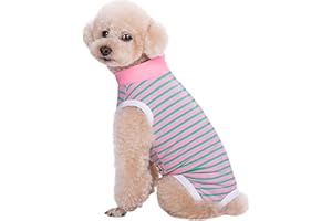 Wisebom Tutina per il Recupero del Cane Post Operatoria, Tuta di Recupero Dopo L'intervento Chirurgico Sterilizzazione, Body per Cani (S)