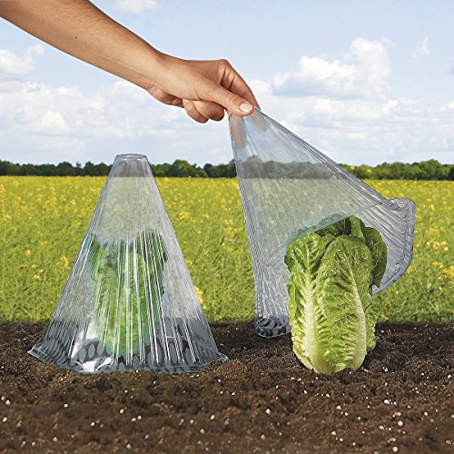 Preisvergleich Produktbild Pflanzenhut