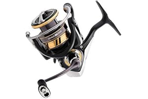 Daiwa Legalis LT Spinnrolle