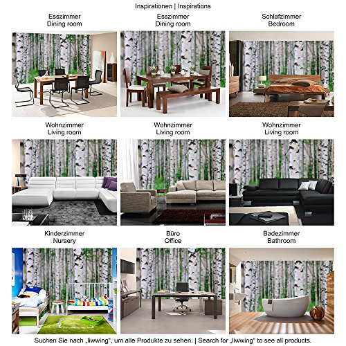 Vlies Fototapete 300×210 cm PREMIUM PLUS Wand Foto Tapete Wand Bild Vliestapete – BIRCH FOREST no.2 – Birkenwald Natur Wald Bäume Baum Forest Herbst – no. 081 - 5