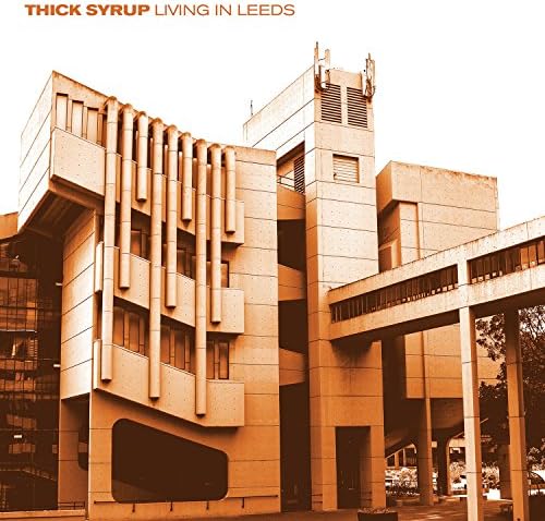 Living in Leeds [VINYL]