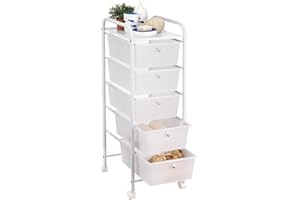 IDIMEX baño con Ruedas y estantes Roll Container Gina, con 5 cajones Transparentes y Estructura de Metal en Color Blanco