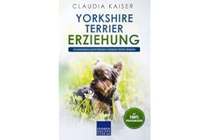 Yorkshire Terrier Erziehung: Hundeerziehung für Deinen Yorkshire Terrier Welpen