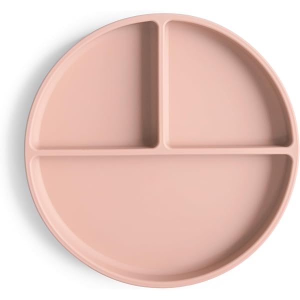 Mushie - Chupete Alimentador De Frutas Y Alimentos De Silicona Para Bebé, 6 Meses + (azul Cambridge