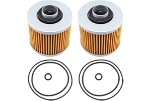 MCHNIC 2 filtri olio HF145 per XV 500 VIRAGO 500, XV535 VIRAGO 535, XV125S VIRAGO 125, XV250 VIRAGO 250, XV1100 VIRAGO 1100