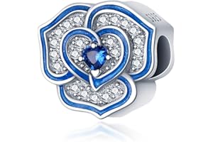 Pandach Charms Abalorios Colgante de Cuentas Plata de Ley 925 con Circonita Cúbica 5A Compatible con Europeo Pulsera Collar,Charms de Para Niña Mujer