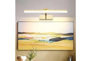 MantoLite Dimmerabile LED Lampade da Parete per Quadri, 41cm 10W Illuminazione Interni Girevole Lampade, Oro Spazzolato Bagno Luci per Pareti Specchio Lampade Lettura Applique 3000K/4500K/6000K