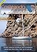 Costeando Mallorca I