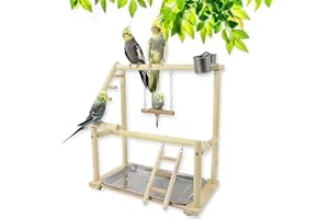 RoseFlower Parrots Bird Playground Birdcage Playstand Wooden Bird Play Stand with 2 Stainless Steel Feeder Cup Tray Swing Perch Play Gym Playpen Ladder Bird Toys, Bird Table Stand for Parakeet Birds