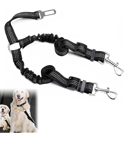 Ceinture Sécurité Chien Voiture 2 En 1 52-75 Cm - Élastique Double, Réfléchissante, Boucle Universelle