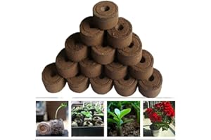DingLong Home Pastille de Tourbe Compressée Tourbe Granulés Bouchons, granulés de Sol de Tourbe pour la Culture de Plantes de Jardinage, de Plantes de Multiplication et de Germination (10 Pack)