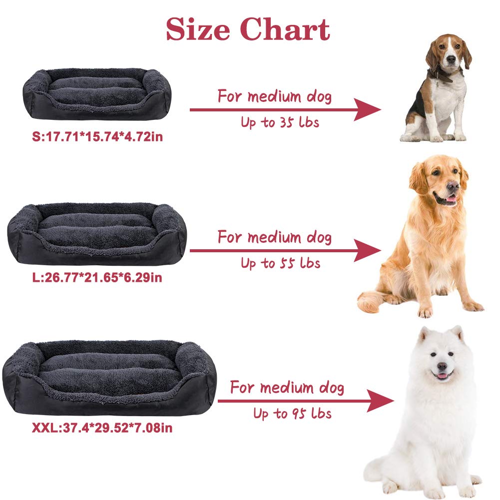 medium dog bed washable