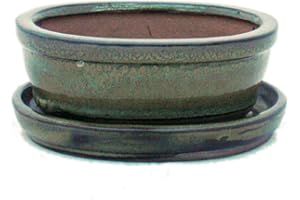 EXOTENHERZ Pot pour bonsaï avec soucoupe - Taille 1 – Marron olive – Ovale - Modèle O7 – Longueur 12 cm – Largeur 9,5 cm – Hauteur 4,5 cm.