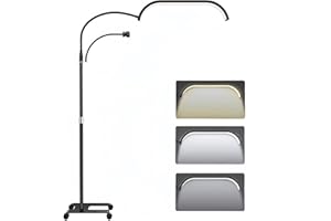TETIPA Lampadaire LED, Lampe Extension De Cils Professionnel, LED Lampe Demi Lune, 55-70in avec support de téléphone, Lampe Sur Pied Avec TêTe RéGlable, lampe cosmétique pour cils Pour Tattoo, Tatoueurs