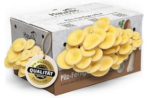 ‎HAWLIK PILZBRUT Hawlik Pilzbrut | Limonenpilzkultur klein ca. 3kg I Zitronenseitlinge züchten I ohne Vorkenntnisse I kinderleichtes Zuchtset für Zuhause I frische Limonen-Pilze - Geschenk für Gartenfreunde