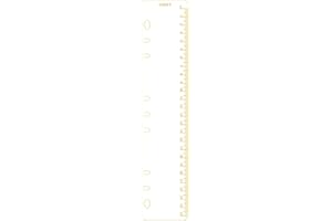 ZELTEN B5 Raccoglitore Cartella Organizzatore Slide-in Plastica Segnalibro Divisori Righello (Metric System Gold, B5)