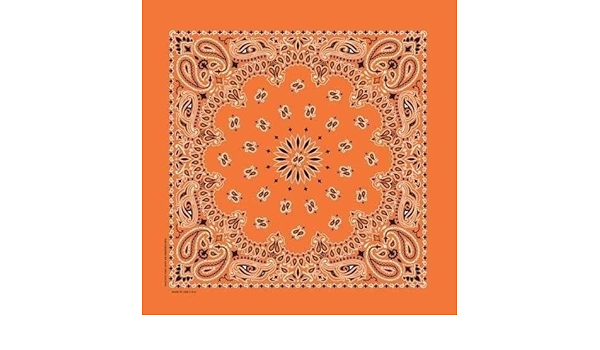 Hav A Hank Paisley Bandana Bandanna Best Quality 100 Cotton Usa Made Sairusplay Amazon Co Uk Sports Outdoors