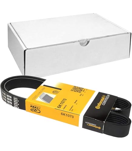 SACHS 998 411 Molla Autotelaio Per Volkswagen Rabbit V E Altri – Assale Anteriore, Ricambio Originale
