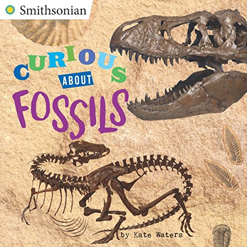 Book's Cover ofCurious About Fossils