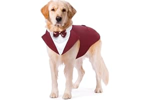 Kuoser Juego de esmoquin para perros grandes y pequeños, traje formal con pajarita extraíble, para bodas, Halloween, cumpleaños, fiestas, S-XXL