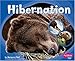 Produktbild Hibernation (Patterns in Nature)