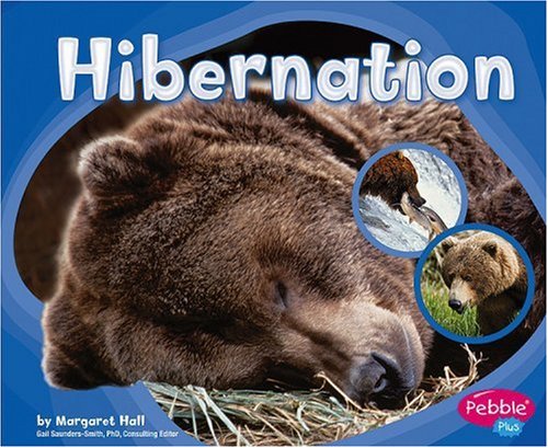 Preisvergleich Produktbild Hibernation (Patterns in Nature)