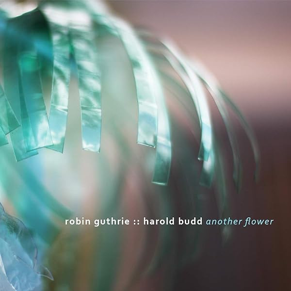 Winter Garden: Harold Budd, Robin Guthrie Eraldo Bernocchi: Amazon