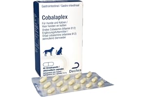 Dechra Cobalaplex | 60 capsule | Mangime complementare per cani e gatti | Può sostenere la digestione e promuovere i livelli di vitamina B12 | Con Prebiotico Preplex