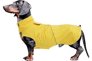 MOREZI Dachshund coat dog raincoats waterproof suitable for dachshunds corgi, dog waterproof coat with reflective stripe underbelly protection - Yellow - M
