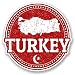 Produktbild DestinationVinyl 2 x 10cm/100mm Türkei Vinyl Selbstklebende Sticker Aufkleber Laptop Reisen Gepäckwagen Cool Zeichen Spaß #5561
