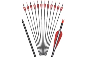 NIKA ARCHERY 12 Frecce per tiro con L'Arco 28 30 31 Pollici Frecce in Carbonio da Frecce da Caccia per Adulti 500 Frecce per Arco della Colonna vertebrale per Arco ricurvo Arco Composto Arco Lungo