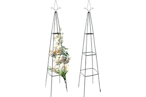 anaterra® Rosenbogen - Set, 2 Stück, Freistehend, Stabil, Metall, Grün - Rankhilfe, Gartenbogen, Rankbogen, Rosenhilfe, Rosen Torbogen, Rankgitter für Hochzeit, Garten, Balkon (Rosenpyramide, 13mm)