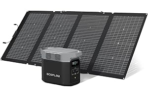 EF ECOFLOW Pack Générateur Solaire EcoFlow DELTA 2 et panneau solaire 220 W, capacité de 1-3 kWh, batterie LFP, charge rapide, station électrique portable pour secours domestique, balcon, camping et camping-cars