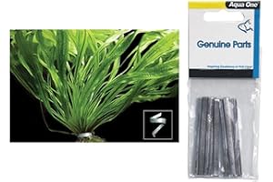 AQUARISTIKWELT24 Aqua One Plant Weight - 10 pk