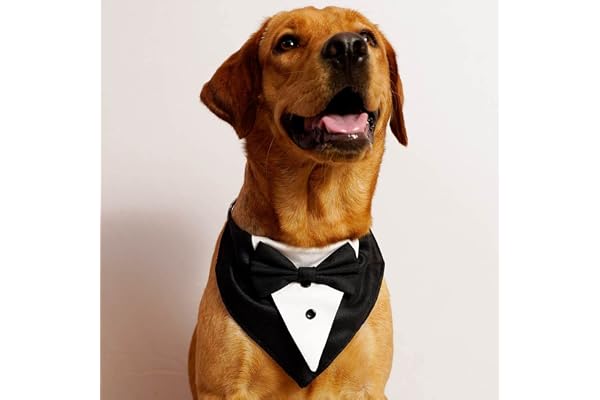Myartbucket Wedding and Festive Dog Tuxedo Black Bandana with Bow Pet Tuxedo Bandana (Medium)