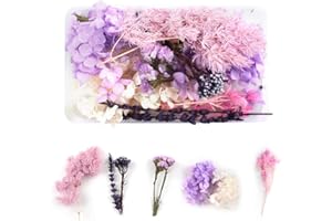 Tomedeks Natural Dried Flowers Dried Embossed DIY Preserved Flowers Resin Jewelry Nails Crafts Scrapbooking Floral Decor (G)