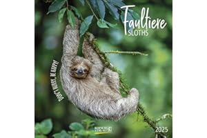 Faultier 2025: Broschürenkalender mit Ferienterminen und lustigen Faultieren. Format: 30 x 30 cm