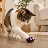 getmeev Pilli Hareketli Titreşimli Uğur B&ouml;ceği Kedi Oyuncağı, Zeminde İlerleyen İnteraktif Kedi Oyuncağı, Kedilerin Takip Etm