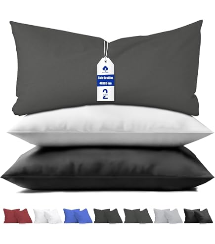 DREAMSTAR Eco Lot De 2 Oreillers 80x80 Cm – Fibres Écologiques 1000 G – Hypoallergénique, Öko-Tex, Lavable 60 °C