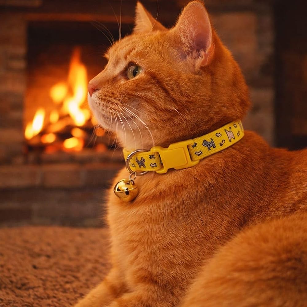 KEDİ BOYUN TASMASI ZİLLİ VE AYARLANABİLİR SARI