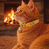 KEDİ BOYUN TASMASI ZİLLİ VE AYARLANABİLİR SARI