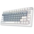 EvoFox Ronin Wireless TKL Mechanical Keyboard (BT+2.4GHz+Wired) | Outemu Red Switches, Gasket Structure, Per-Key RGB, 1000Hz, nKey Rollover, Volume Controller | Windows Software, On-board Memory