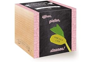FEEL GREEN - WE CREATE NATURE Feel Green Message Cube, Holzwürfel Mit Lasergravierter Glücksbohne"Hab Dich Lieb", Nachhaltige Geschenkidee, 100% Eco Friendly, Anzuchtset, Made in Austria