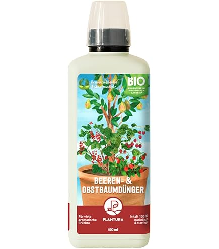 Mandarinenbaum-Dnger  Citrus reticulata Mandarienen Flssigdnger fr  ppiges Wachstum und Frchte 250 ml : Amazon.de: Garten