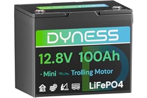 Dyness Batteria LiFePO4 12V 100Ah, Mini Batteria al Litio con BMS 100A, Protezione a Basse Temperature, per Nautica, Camper, Impianti Solari off-grid, Fotovoltaico Accumulo