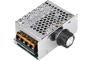 Bewinner Regulador de Voltaje Ajustable de 10V a 220V para Aparatos con Una Potencia Inferior a 4000W, como Horno Eléctrico, Calentador de Agua, Lámparas, Motor Pequeño y Más.