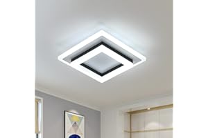 AUA LED Ceiling Light, 24W Modern Ceiling Lamp, LED Ceiling Lights for Bedroom Hallway Office Kitchen Living Room, Cold White 6500K