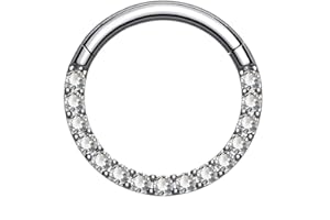 OUFER Piercing per setto G23 Solido Titanio Daith Orecchino Cerchio Trago Helix Anelli 16G A Cerniere Segmento Cerchio Chiaro CZ Paved Cartilagine Orecchino